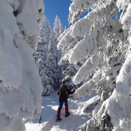 Gaestehaus Alpengruss *