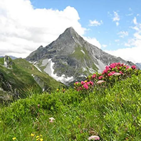 Gaestehaus Alpengruss Mayrhofen