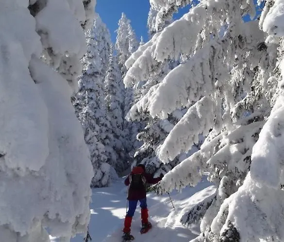 Gaestehaus Alpengruss *