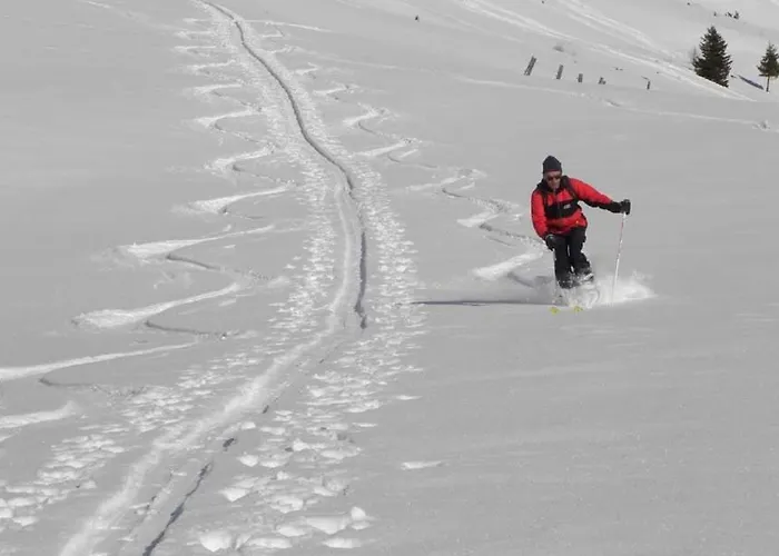 Διαμέρισμα Gaestehaus Alpengruss